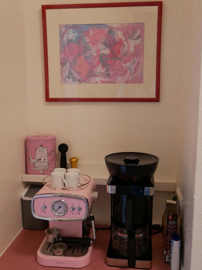 Ferienwohnungen In Der Kunstgalerie Charlie Und Jenny Chemnitz Luaran gambar